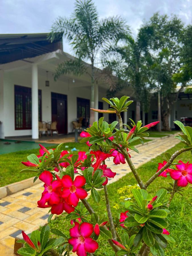 Sigiriya Green Garden Home Luaran gambar